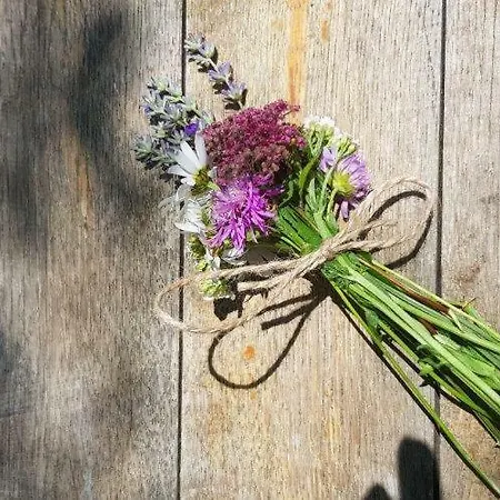 Hillside Bio Delux