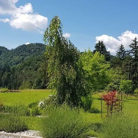 Hillside Bio Delux