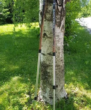 Hillside Bio Delux * Sesce Pri Preboldu