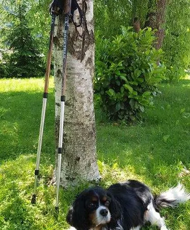 Hillside Bio Delux Apartamento Sesce Pri Preboldu