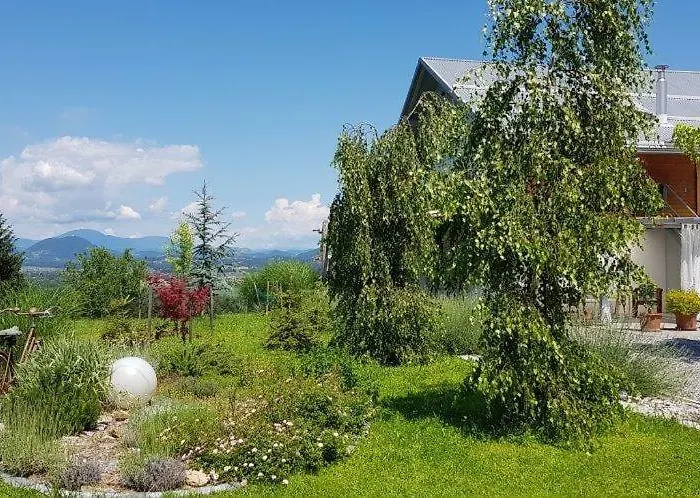 Hillside Bio Delux Apartment Sesce Pri Preboldu