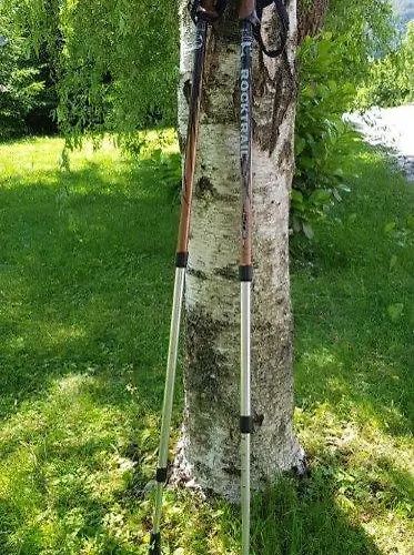 Hillside Bio Delux * Sesce Pri Preboldu