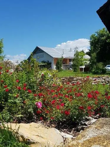 Apartmán Hillside Bio Delux