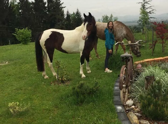 Hillside Bio Delux Apartment *