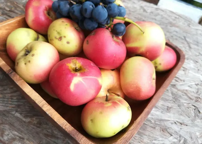 Apartmán Hillside Bio Delux