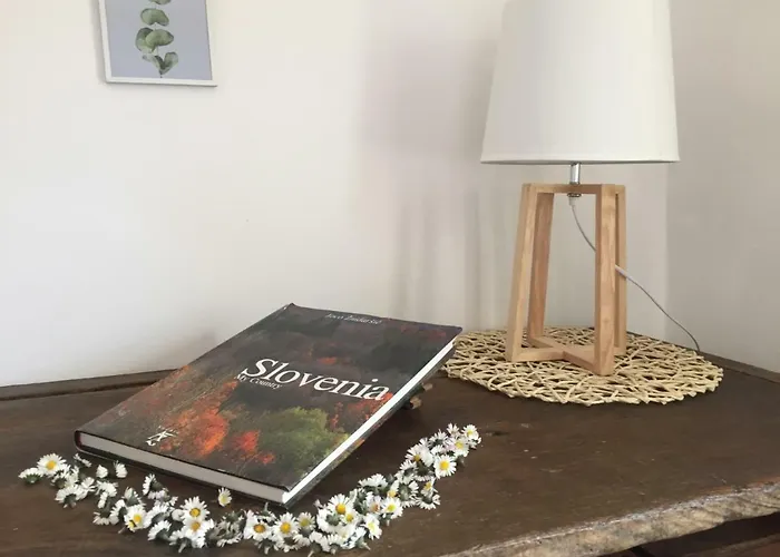 Hillside Bio Delux Sesce Pri Preboldu